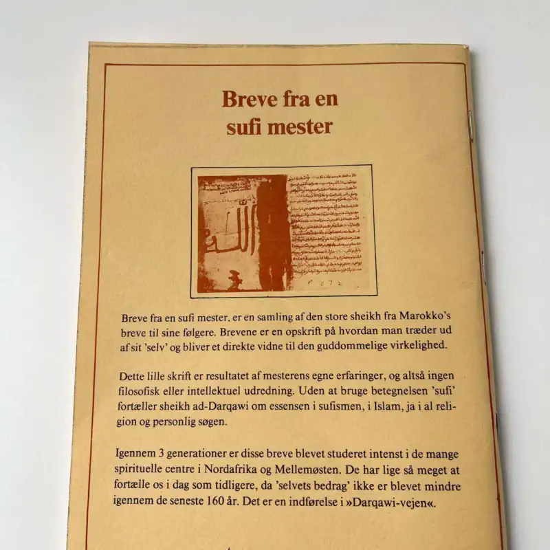 Briefe von einem Sufi-Meister