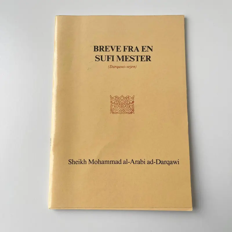 Briefe von einem Sufi-Meister