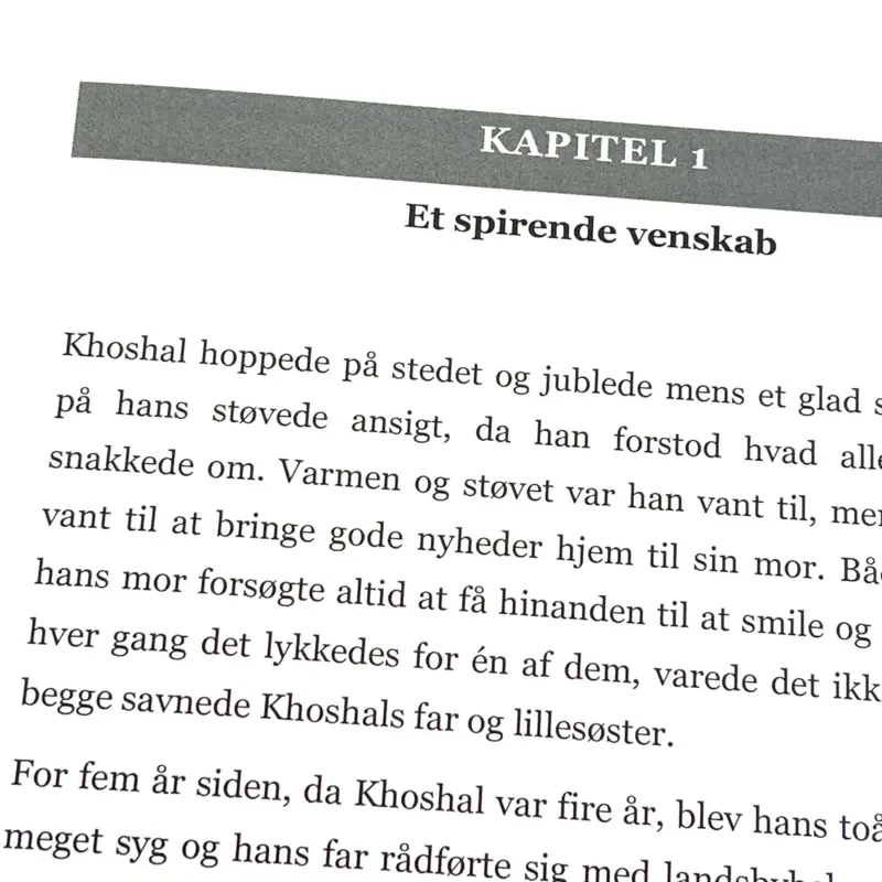 Fra Helmand til Hellerup