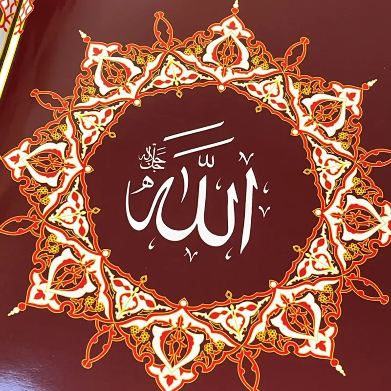 Der strahlende Koran (Dänisch/Arabisch)