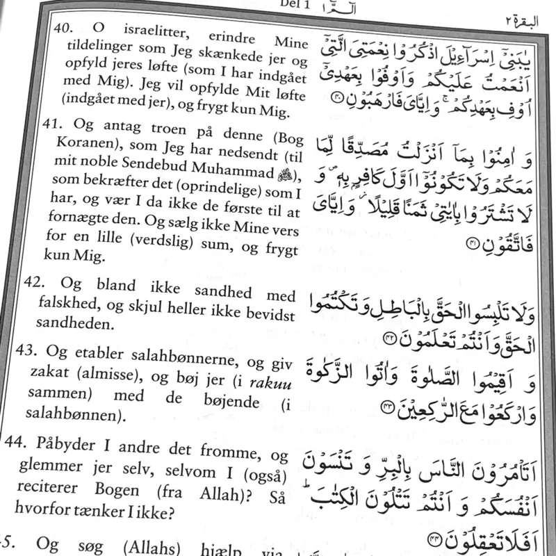 Der strahlende Koran (Dänisch/Arabisch)