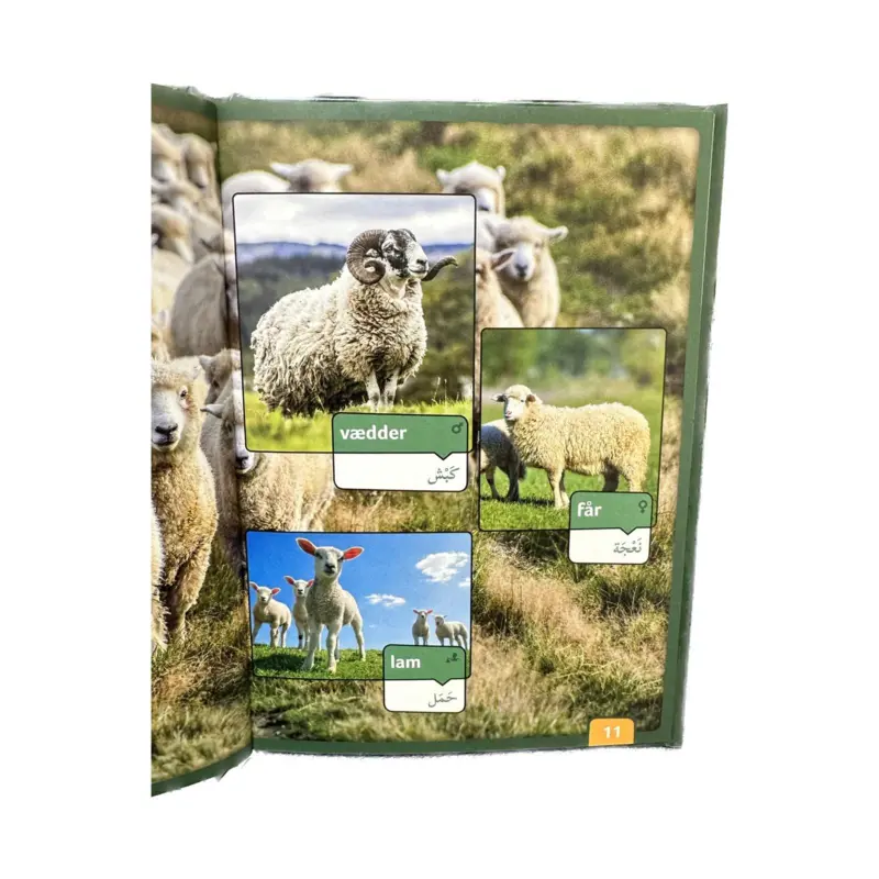 Bondegårdens dyr - Min første billedbog - Dansk/Arabisk