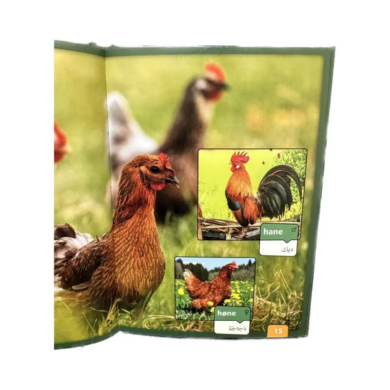 Bondegårdens dyr - Min første billedbog - Dansk/Arabisk