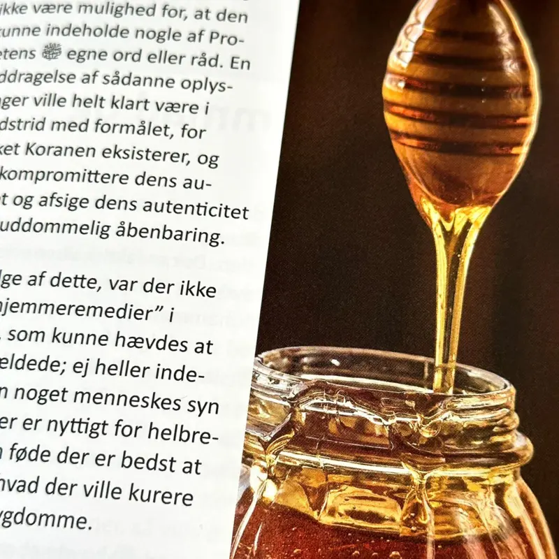 Der wunderbare Koran