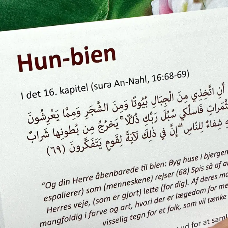 Der wunderbare Koran