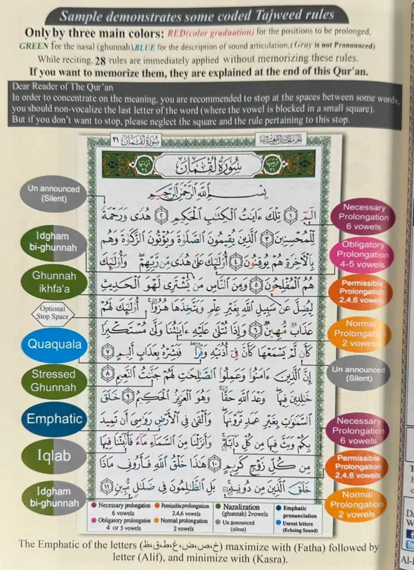 Tajweed Koran med oversættelse på engelsk samt latinske bogstaver