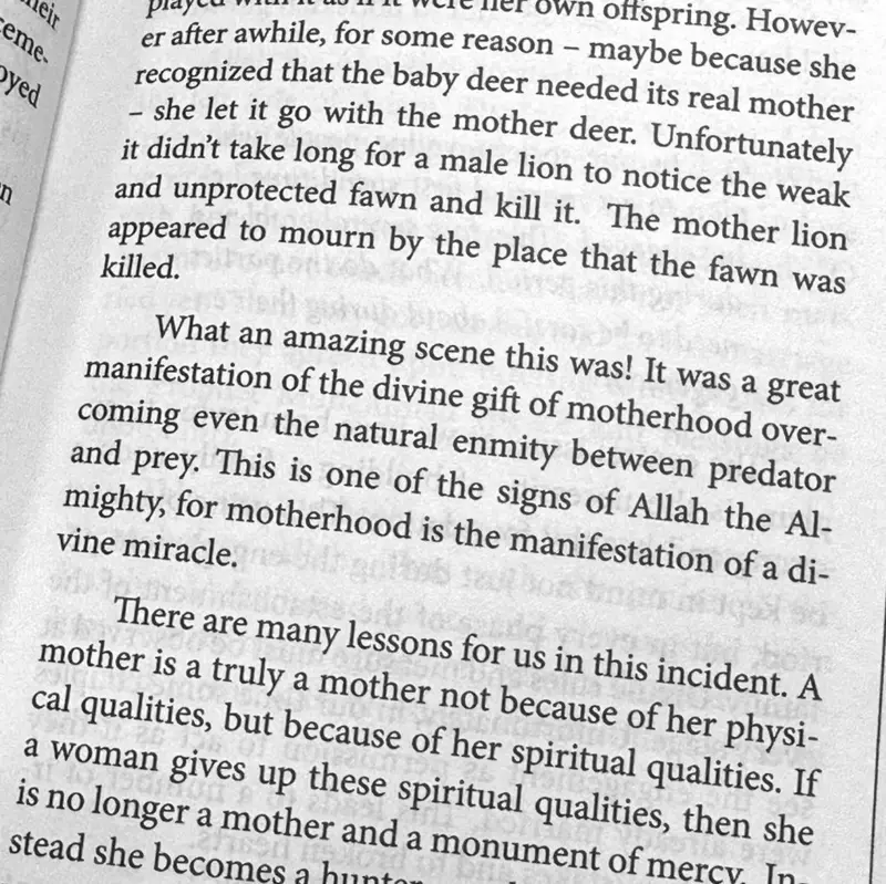 A peaceful home, Paradise on earth