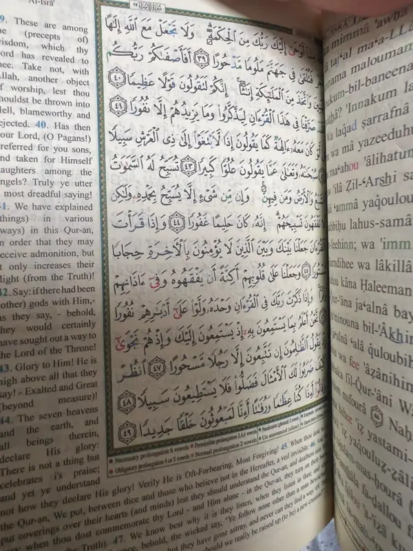 Lommekoran på Engelsk og Latin