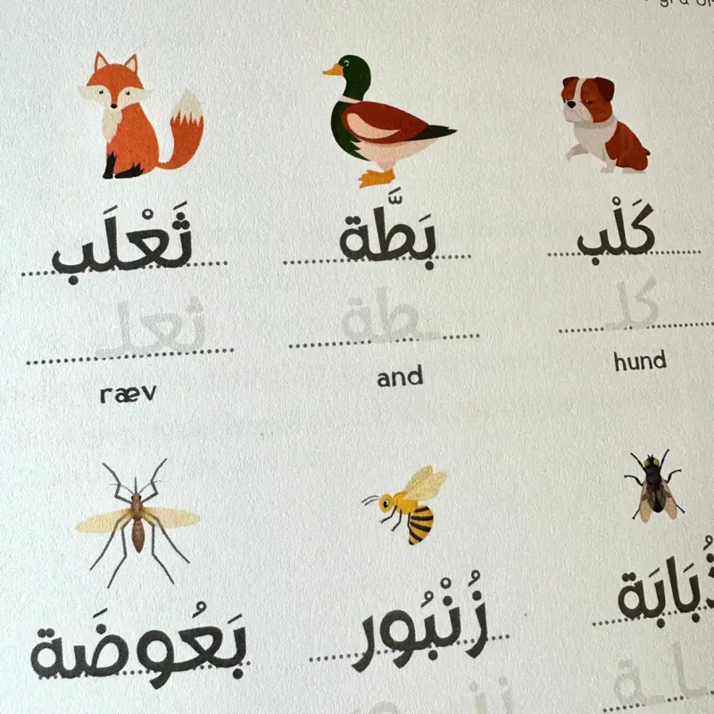 Bogstavmagi - Arabisch mit Sami und Khadija