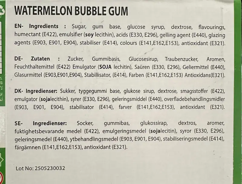 Watermelon sour Bubble Gum 1 Stück
