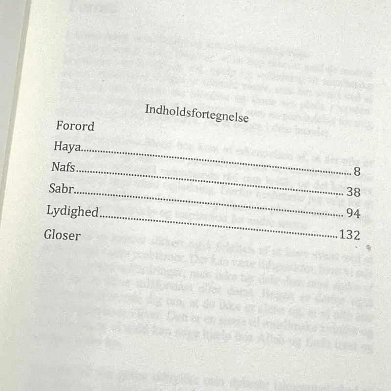 En Muslimsk Kvindes Dagbog (Dansk)