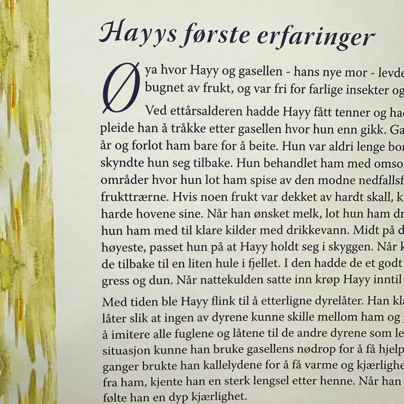 Ibn Tufayl, Hayy ibn yaqdhan