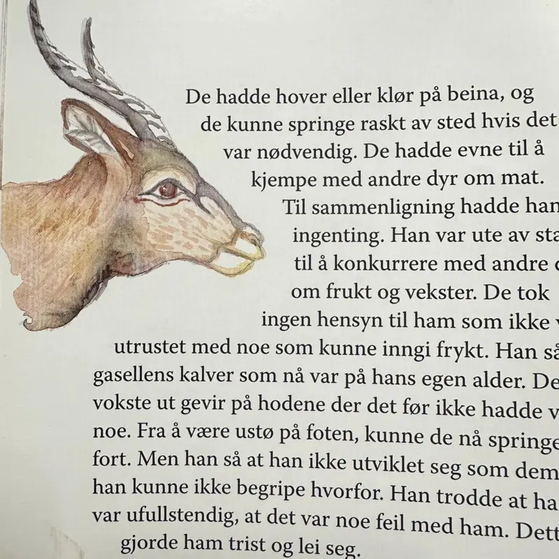 Ibn Tufayl, Hayy ibn yaqdhan