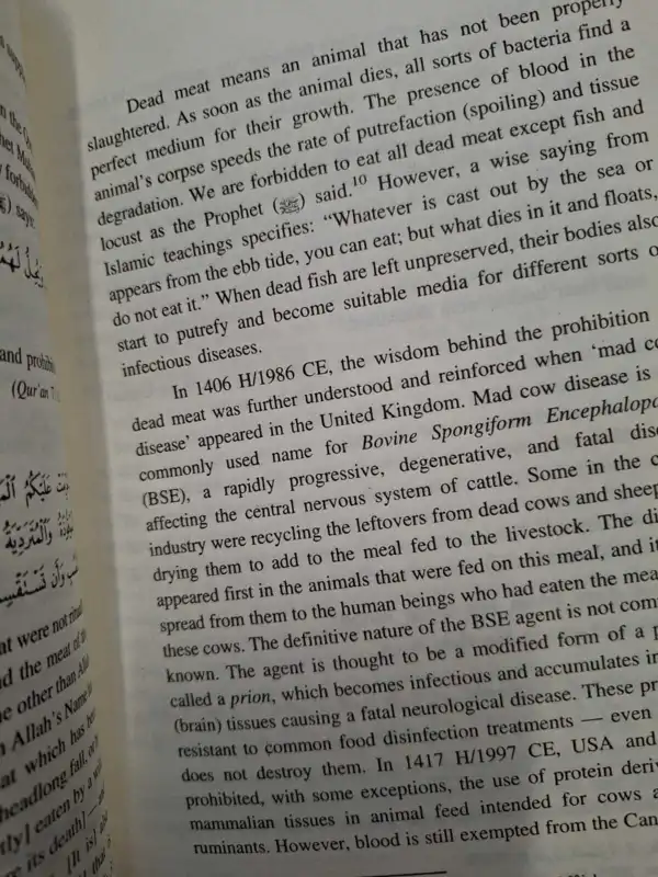 Healing Body and Soul