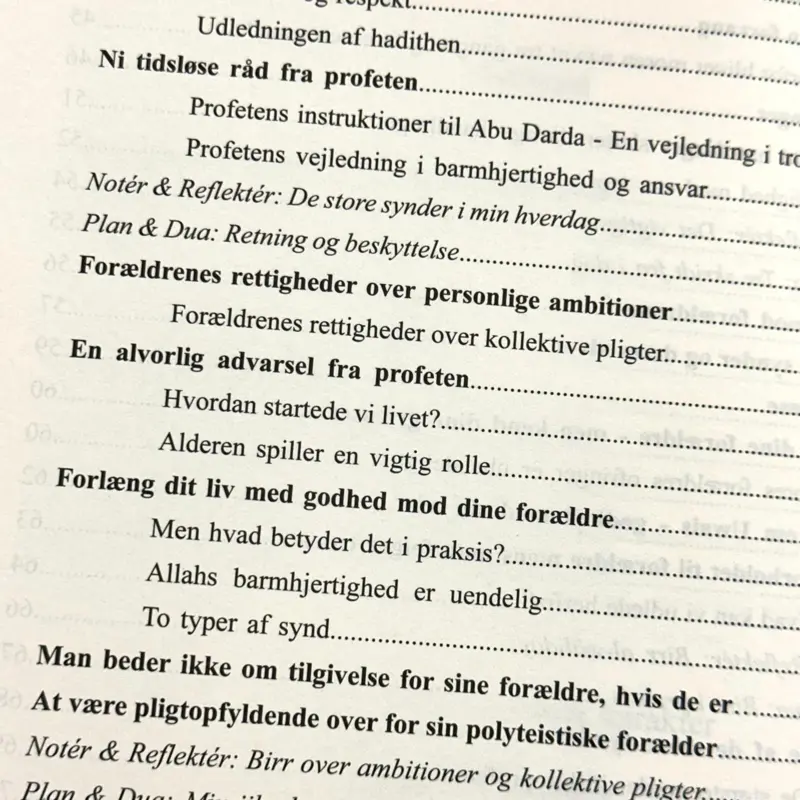 Din rejse mod en smuk karakter (Forældre)